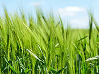 揭阳揭东曲溪街道城镇住宅用地转让60年